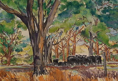 Under The Trees 1.jpg