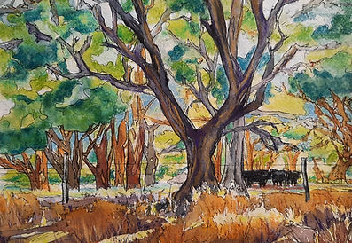 Under The Trees 3.jpg