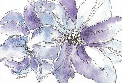 Clematis.jpg