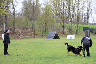 DSC_1011 (2) - Kopie.JPG