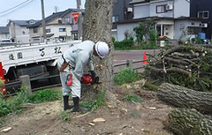 DSCF0511.JPG