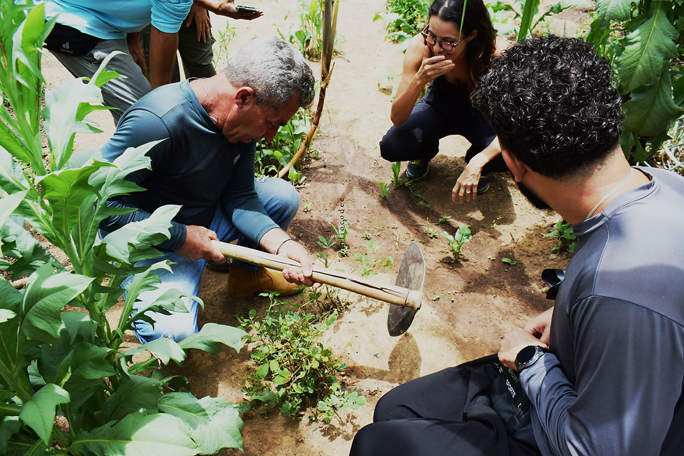 Uma experiencia turística do catálogo Gente daqui, na casa do Peixe, morador nativo da Serra do Cipó que reside no parque nacional da serra do cipó em Minas Gerais, Brasil, América Latina