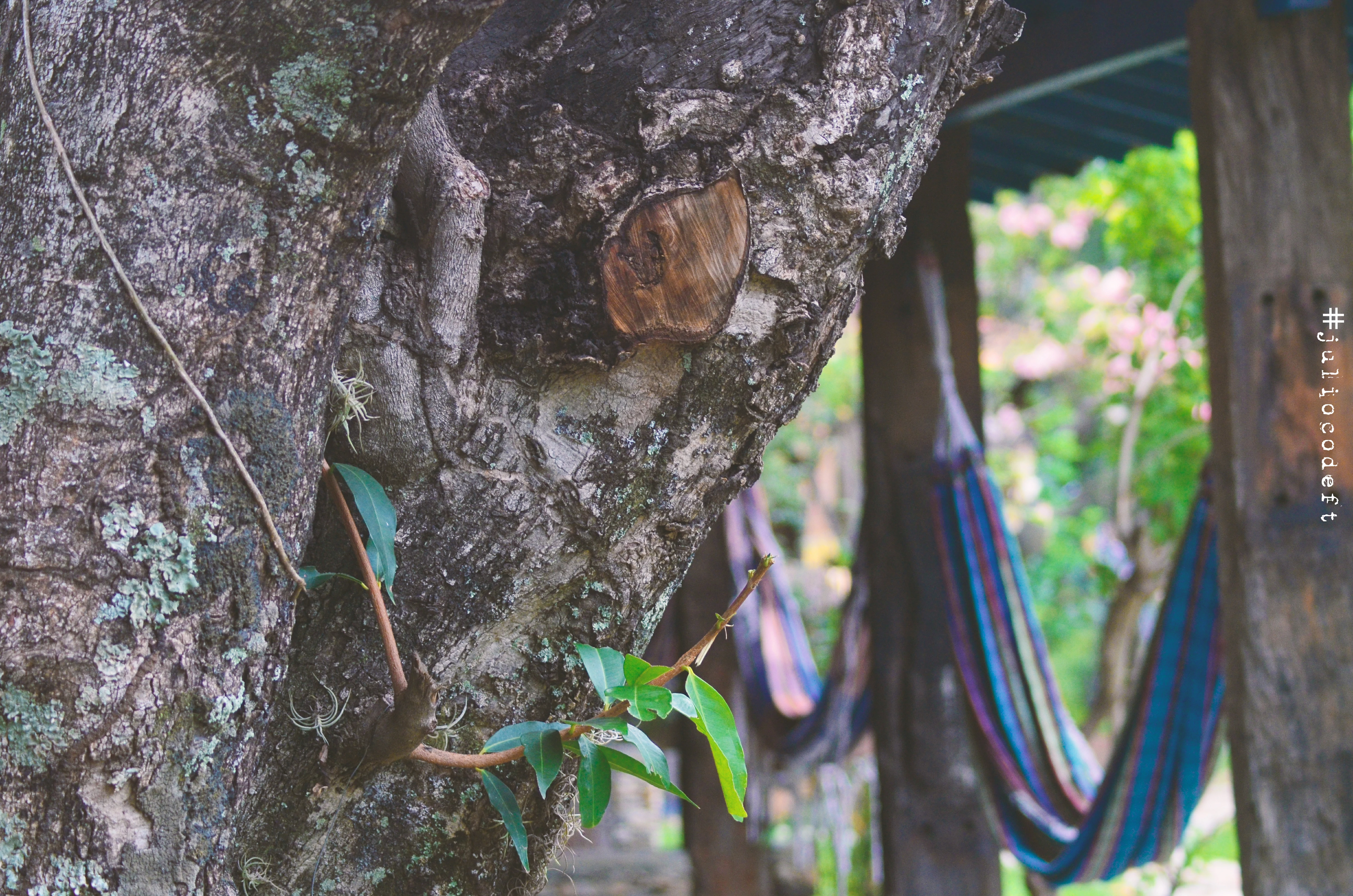 Jardim  da pousada Grande Pedreira, de frente para o Bloco dos quarts 12, 13 e 14, na Serra do Cipó