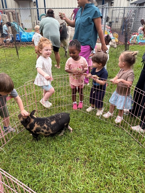zoo.jpg