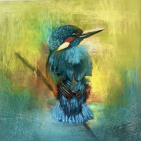 Kingfisher.jpg