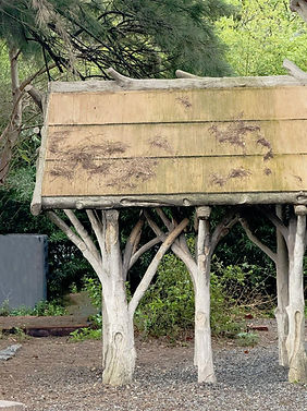 Imagen de WhatsApp 2025-09-25 a las 20.56.35_3b0ed72e.jpg