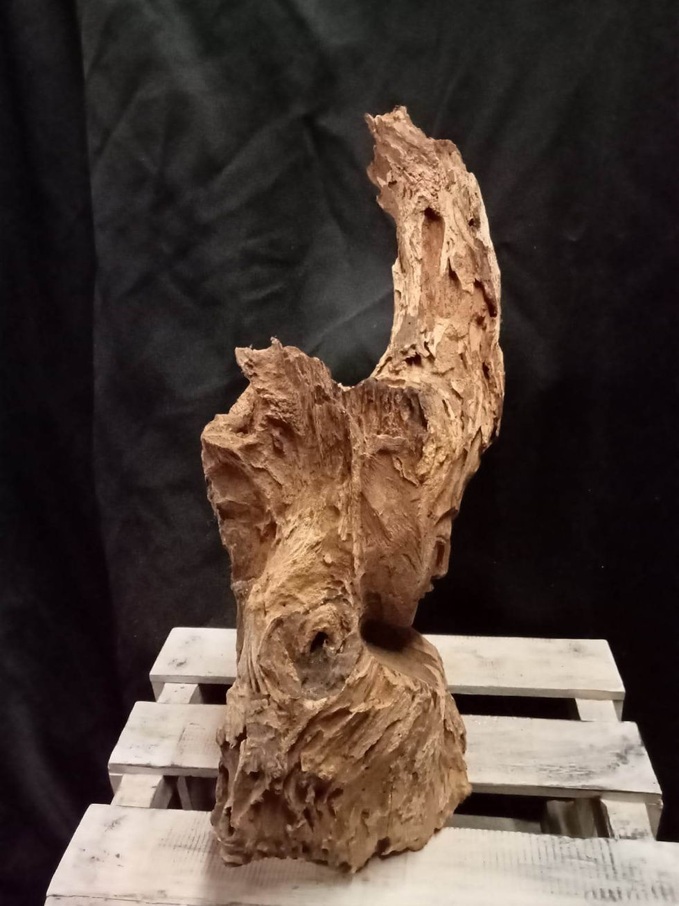 visage sculpté dans racine de Teck