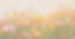 AdobeStock_257445163_resized_edited.jpg