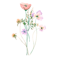 Wildflower hill logo