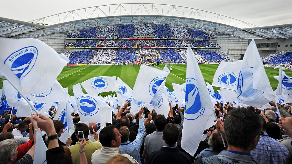 Understanding the Role of Brighton Football Club's Fan Advisory Board and Our Commitment to Fans