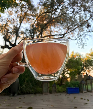 Kompot or Fresh Fruit Tea.