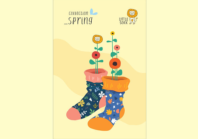 C.I.P LITTLE SOCK 2-06.jpg