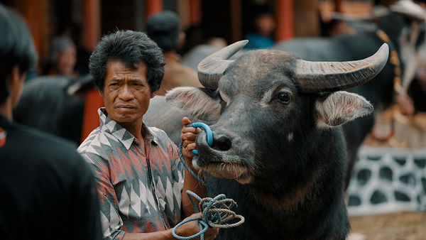 Toraja 4.jpg