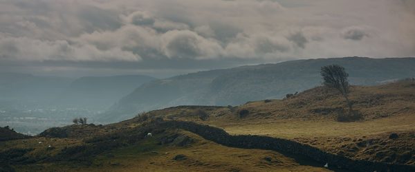 Still 2025-02-28 205919_1.5.1.jpg