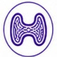Thyroid_Adrenal.jpg