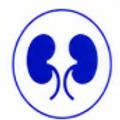 Kidney.jpg
