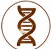 6Genetics.jpg