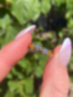 Flourishing Flowers Ring