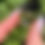 Thumbnail: Flourishing Flowers Ring