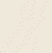pawprintbackground.jpg