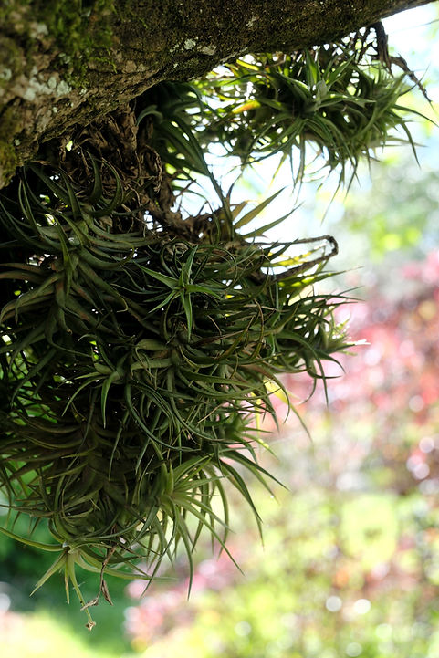 DSCF1643web.jpg