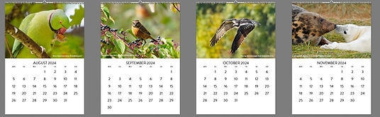 calendar 3.jpg