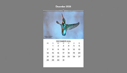 calendar 2026 part 4.jpg