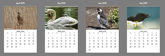 Calendar 2.png