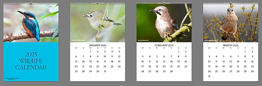 calender plan.png