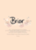 Briar - digital artwork