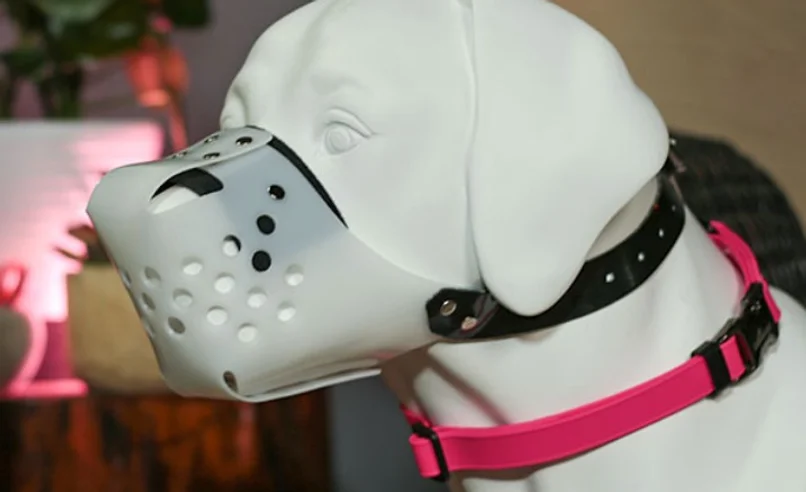 JAFCO Muzzle.webp