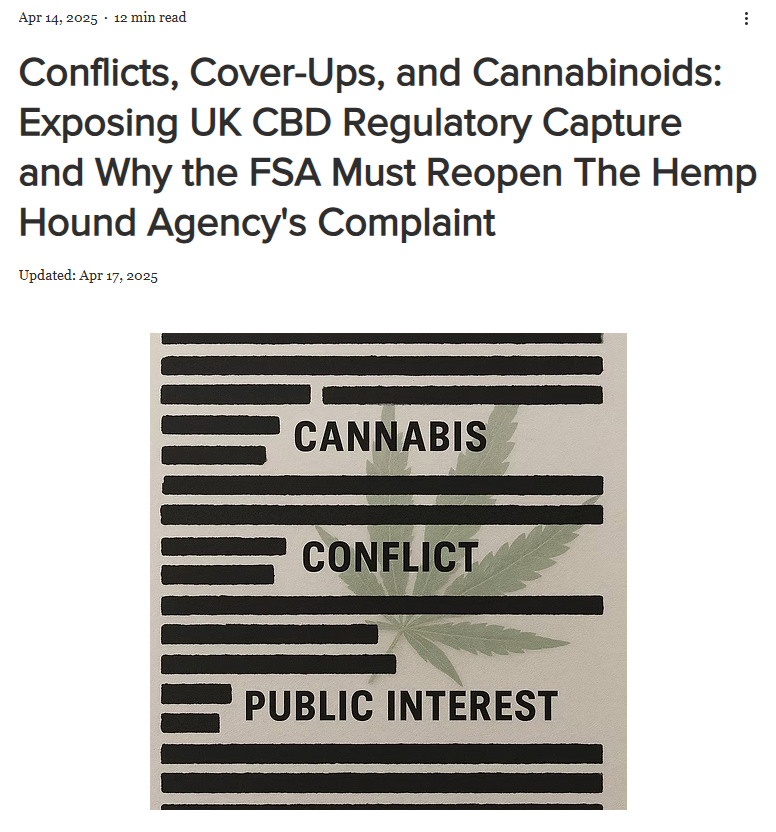 Article screenshot with headline on UK CBD regulation and an image of black redaction bars over cannabis leaf, labeled CANNABIS, CONFLICT, PUBLIC INTEREST