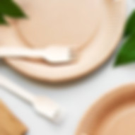 istockphoto-1172867885-612x612_edited.jpg