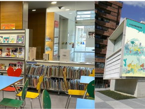 Library mystery detectives