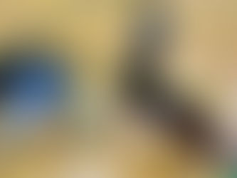 7/13 体幹は積み重ね。