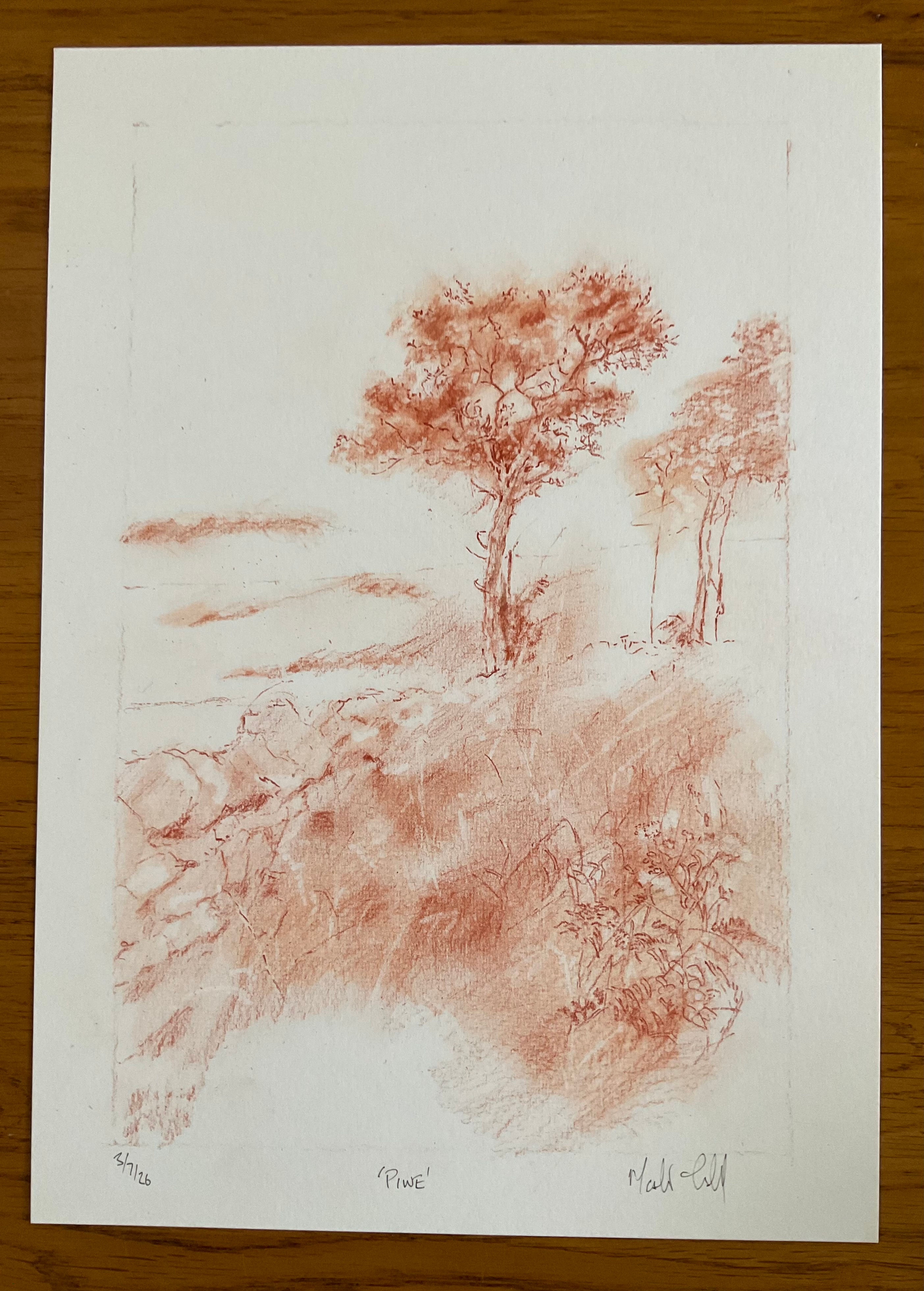 Pine