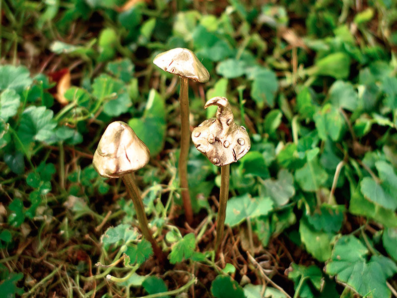Miniature : Pique à planter Champignon