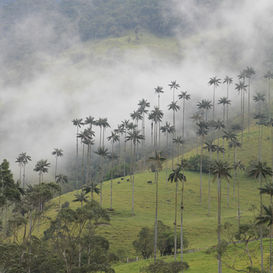 Exploring Colombia: a perfect 2-week itinerary