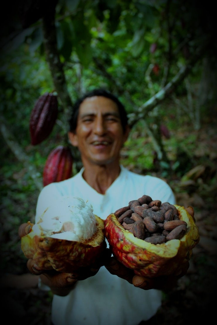 Labores desarrolladas para DEVIDA.