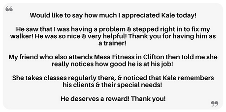 Kale-Review2.png