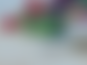 What are Micronutrients?