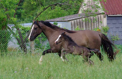 18893401_1755745097775749_1863494225275320220_n