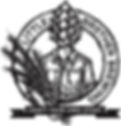 Little Brother Main Logo JPEG File copy.