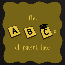 The Basics of Patent Law - II