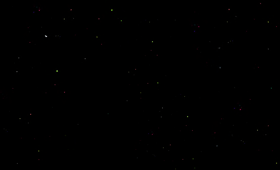 fundo.png