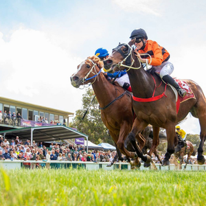 Introducing Our 2026 TABtouch Toodyay Picnic Race Day Sponsors