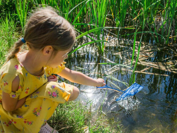 Family Dip-Netting Workshop: Discover the Hidden Life of the Seine