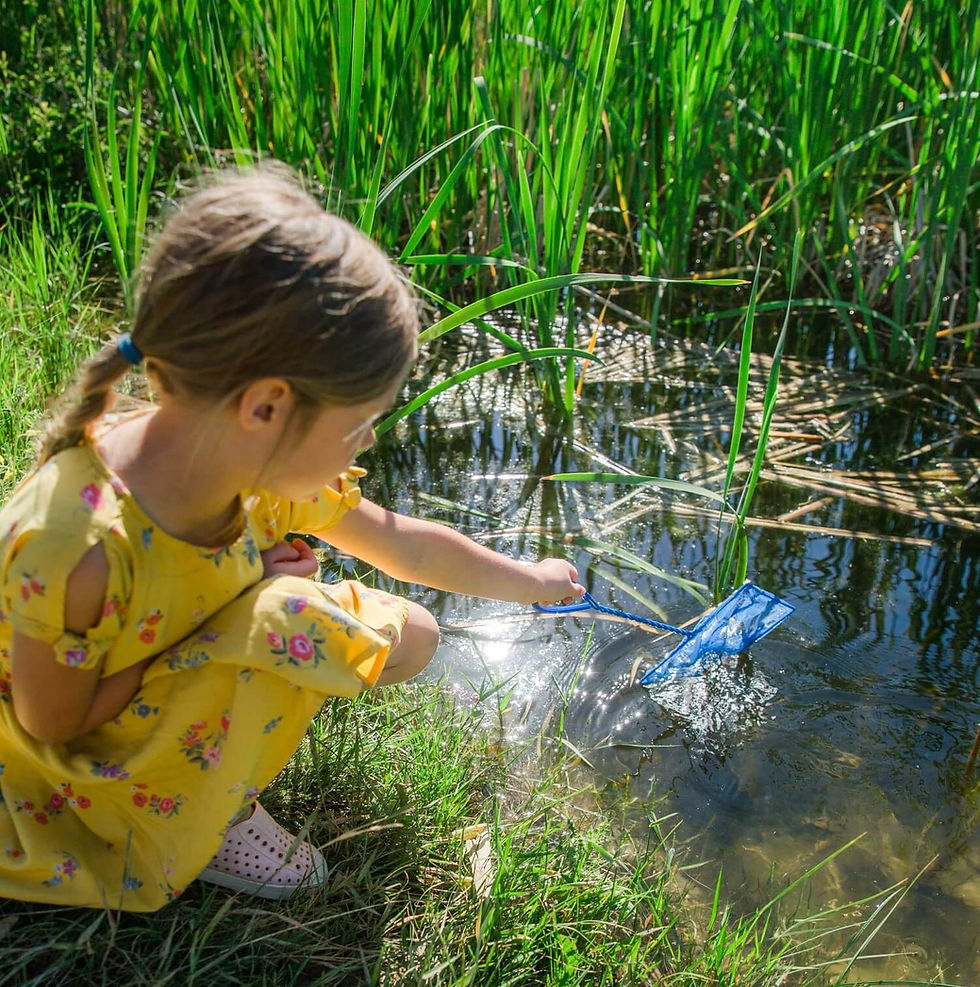 Family Dip-netting for Zooplankton!