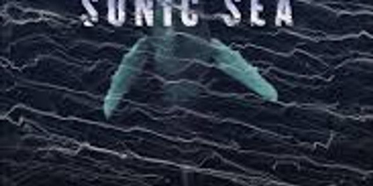 SONIC SEA (1)
