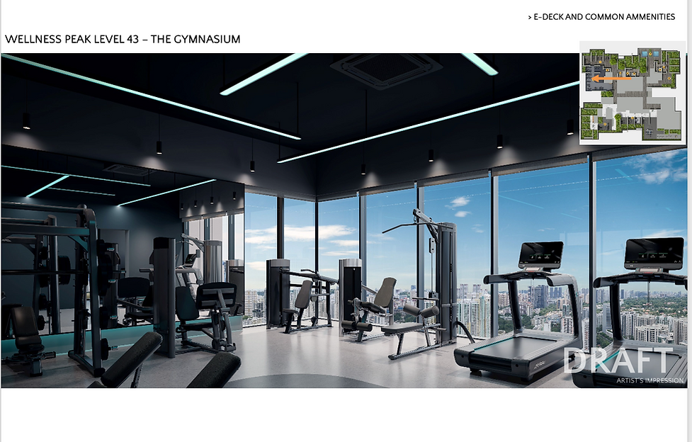 Promenade Peak - Level 43 - Wellness Peak Gym